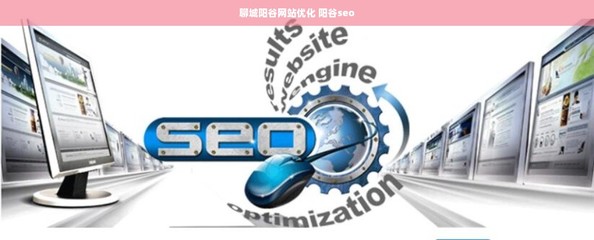 聊城陽谷網(wǎng)站優(yōu)化、SEO與計(jì)算機(jī)軟件開發(fā)銷售一體化服務(wù)解析